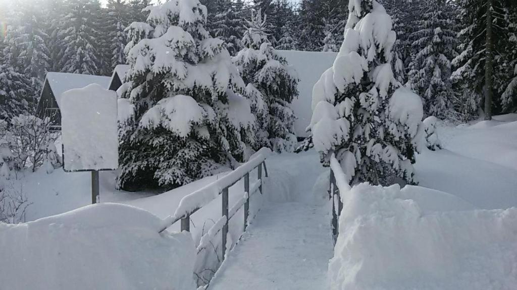 Kořenov Hotel Maredis Rero المظهر الخارجي الصورة